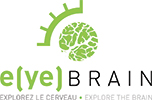 Logo E(ye) Brain