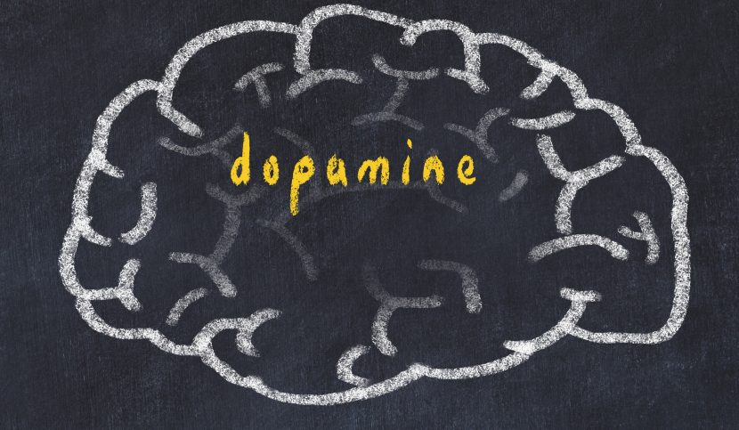 Le mot dopamine dans un cerveau